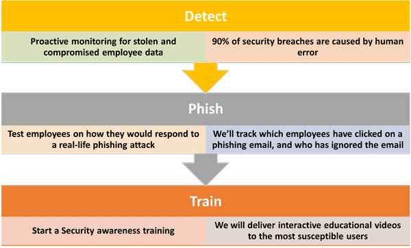 Training Process